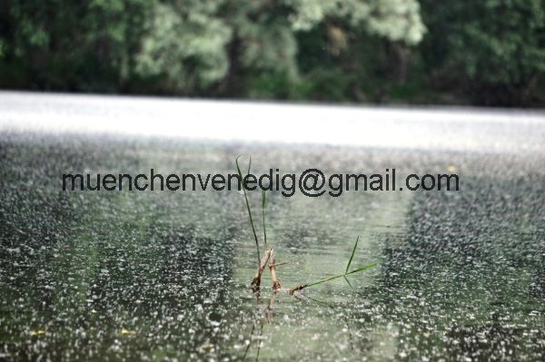 http://muenchenvenedig.com/media/vater-sohn-abenteuer/Eine wunderschoene Kanutour auf dem bayerischen Amazonas/DSC_0783_600x399.JPG